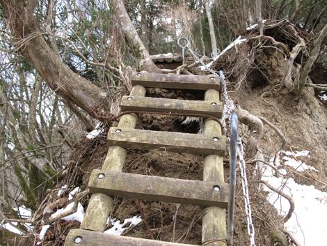 20170113hike (241)